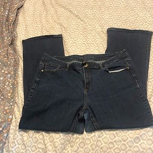 Lane Bryant boot cut size 18